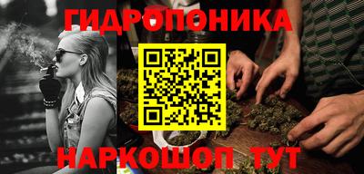 прущий лед Будённовск