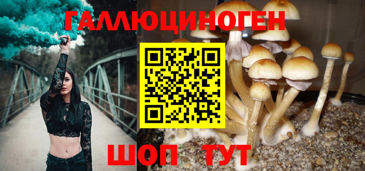 Псилоцибиновые грибы мухоморы  Вход с VPN  Кувандык  Галлюциногенные грибы Cubensis 
