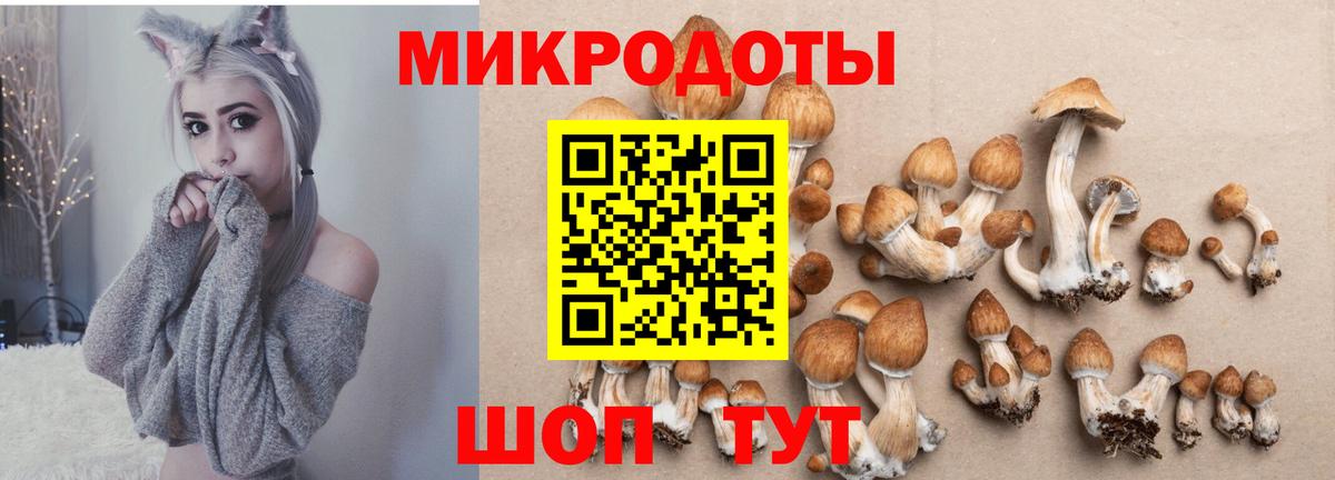 Псилоцибиновые грибы MAGIC MUSHROOMS Кувандык