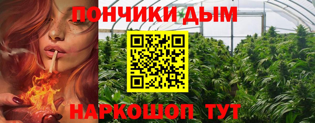 Марихуана Bruce Banner Кувандык